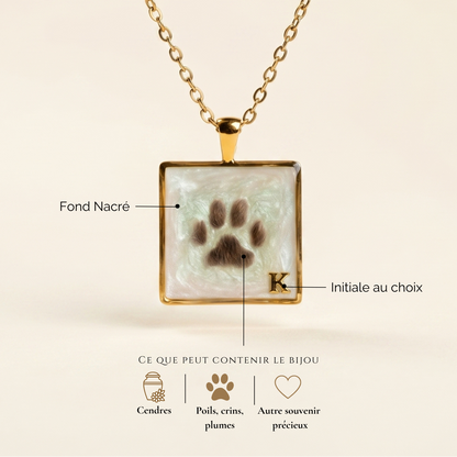 Collier - Náchra